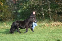 /album/fotogalerij-fotoboek/janus-1-11-2-img-8094-jpg/
